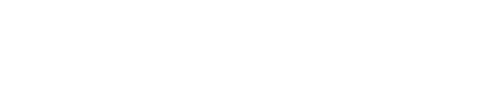 Deutsche Telekom Services Europe logo